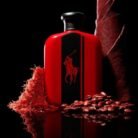 Polo-Red-Intense-Ralph-Lauren-for-men-125ml-EDP-No-Box-gallery-2.jpg